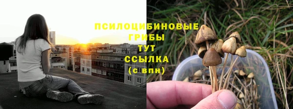 гашиш Новокубанск