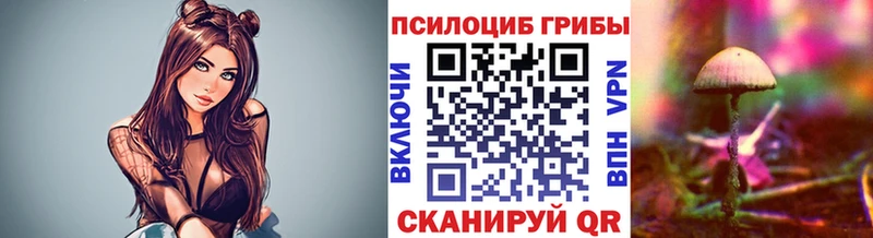 Галлюциногенные грибы Cubensis  ОМГ ОМГ онион  Алагир 